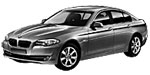 BMW F10 P2221 Fault Code